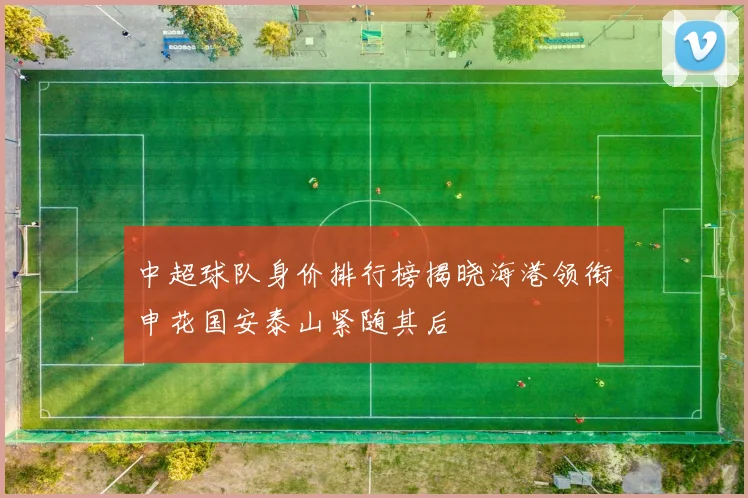 中超球队身价排行榜揭晓海港领衔申花国安泰山紧随其后